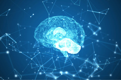 Brain and Memory supplements