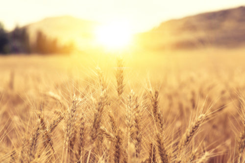 Vitamin D3 and K2 supplement collection